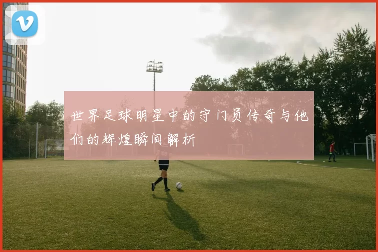 世界足球明星中的守门员传奇与他们的辉煌瞬间解析