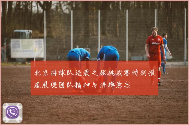 北京排球队逆袭之旅挑战赛特别报道展现团队精神与拼搏意志