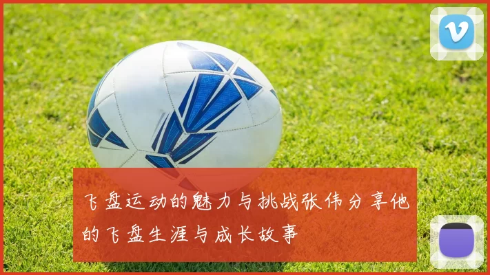飞盘运动的魅力与挑战张伟分享他的飞盘生涯与成长故事