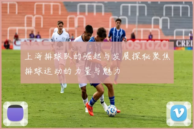 上海排球队的崛起与发展探秘聚焦排球运动的力量与魅力