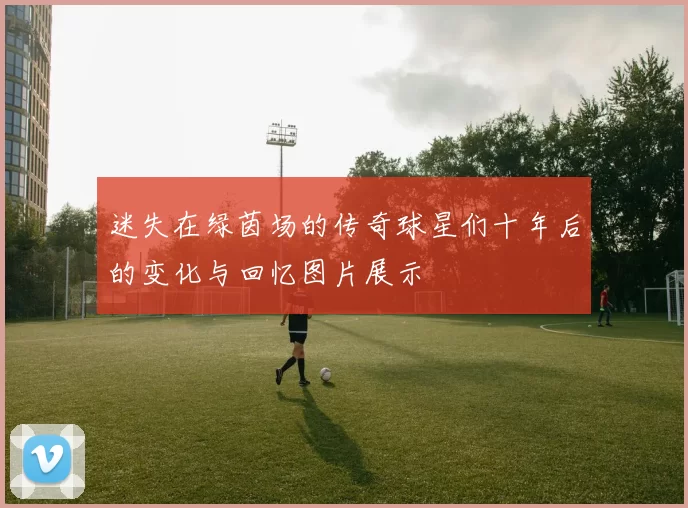 迷失在绿茵场的传奇球星们十年后的变化与回忆图片展示