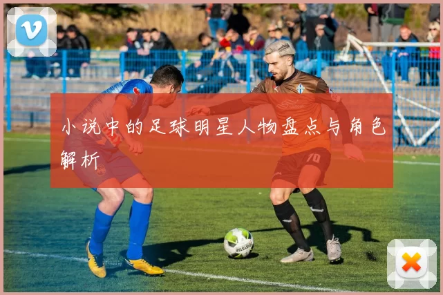 小说中的足球明星人物盘点与角色解析
