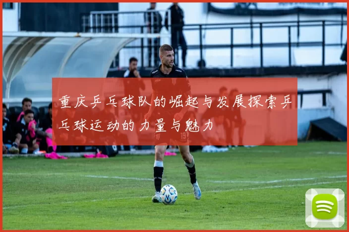 重庆乒乓球队的崛起与发展探索乒乓球运动的力量与魅力