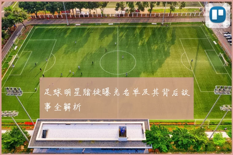 足球明星赌徒曝光名单及其背后故事全解析