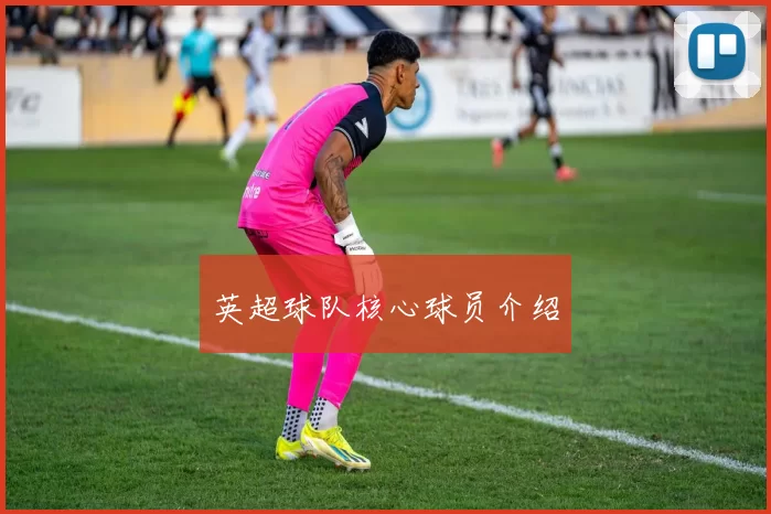 英超球队核心球员介绍