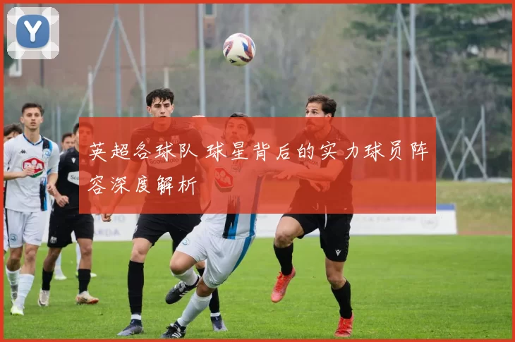 英超各球队 球星背后的实力球员阵容深度解析