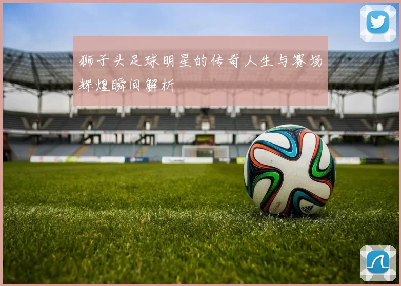 狮子头足球明星的传奇人生与赛场辉煌瞬间解析