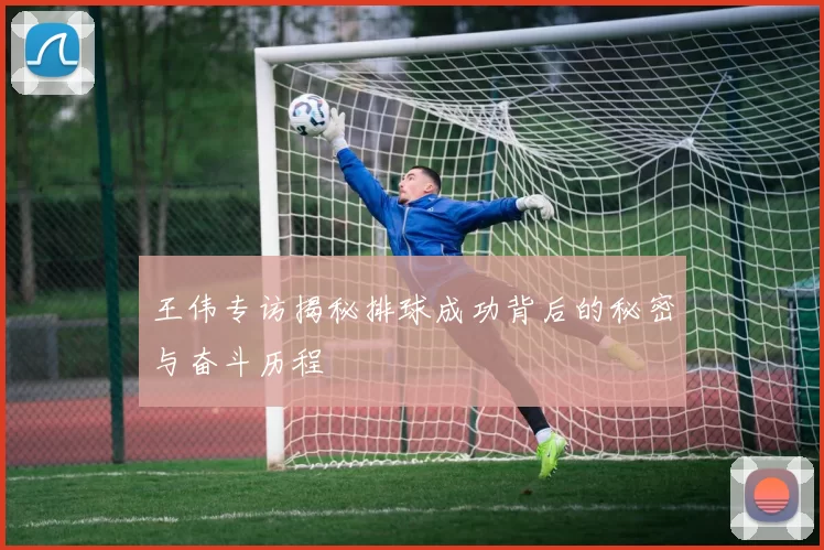 王伟专访揭秘排球成功背后的秘密与奋斗历程