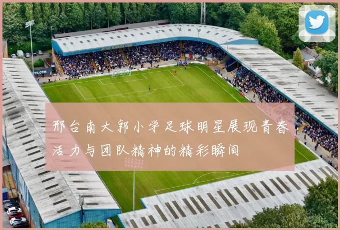 邢台南大郭小学足球明星展现青春活力与团队精神的精彩瞬间