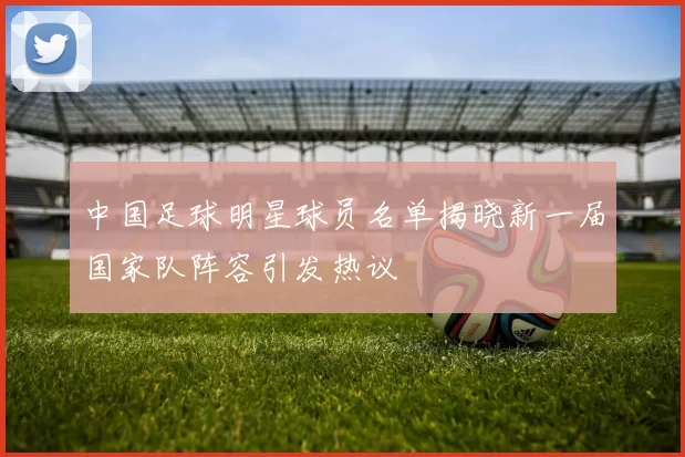 中国足球明星球员名单揭晓新一届国家队阵容引发热议