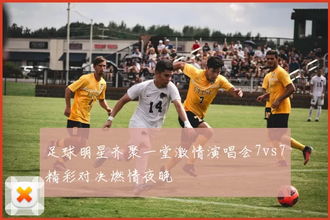 足球明星齐聚一堂激情演唱会7vs7精彩对决燃情夜晚