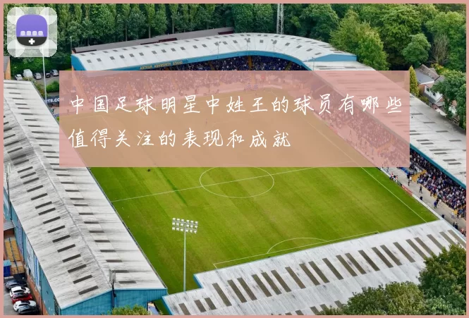 中国足球明星中姓王的球员有哪些值得关注的表现和成就