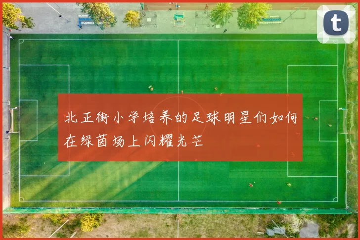 北正街小学培养的足球明星们如何在绿茵场上闪耀光芒