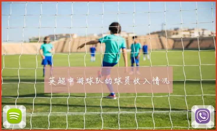 英超中游球队的球员收入情况