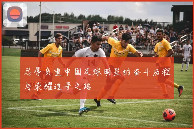 忍辱负重中国足球明星的奋斗历程与荣耀追寻之路