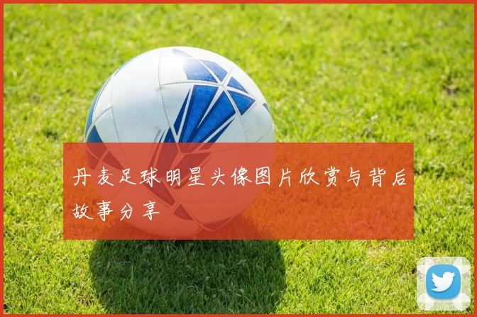 丹麦足球明星头像图片欣赏与背后故事分享