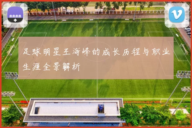 足球明星王海峰的成长历程与职业生涯全景解析