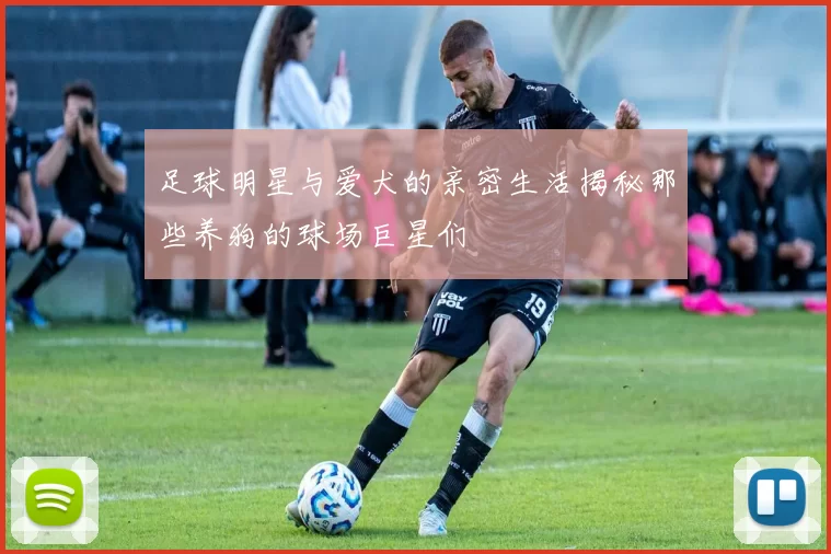 足球明星与爱犬的亲密生活揭秘那些养狗的球场巨星们